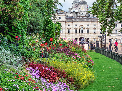 St James's Park and Horse Guards Parade photo by Troy David Johnston